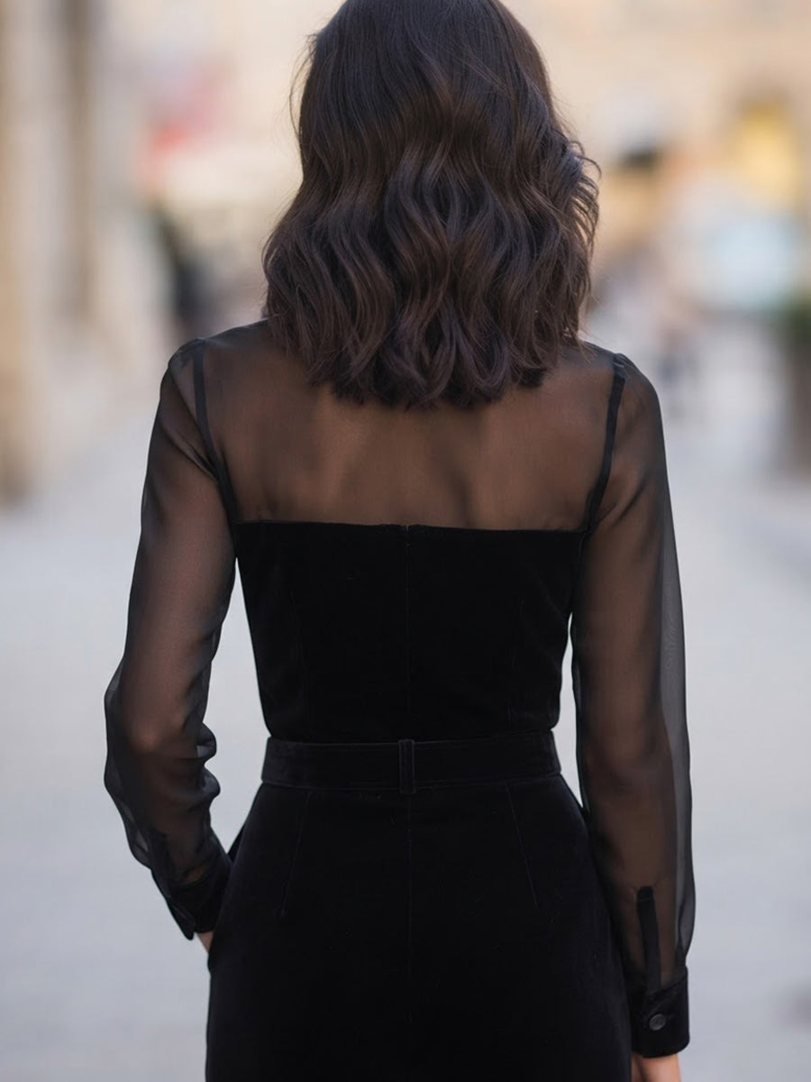 Sheer Yoke Velvet Shirt Blouse