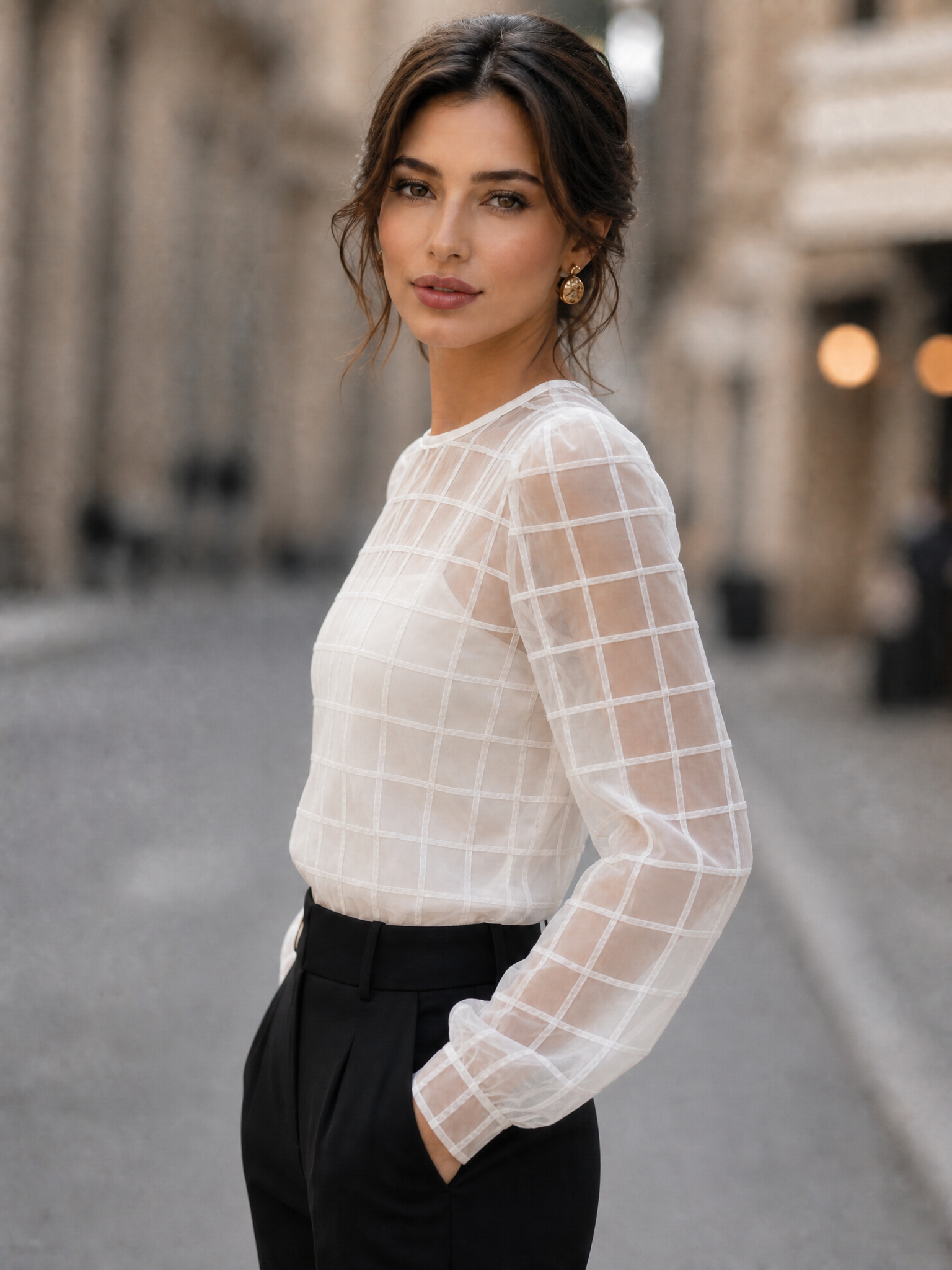 Elegant Sheer Grid Organza Long Sleeve Blouse