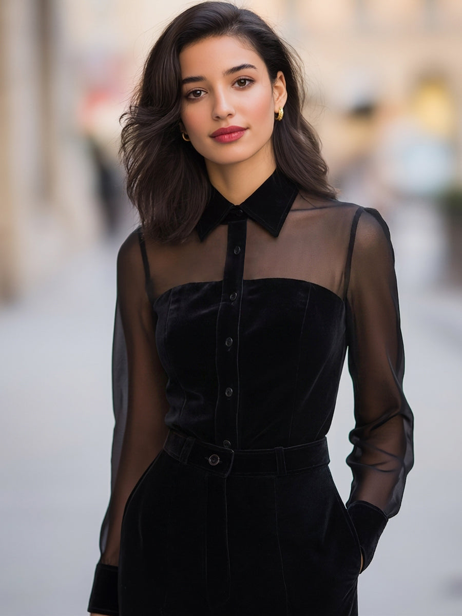 Sheer Yoke Velvet Shirt Blouse