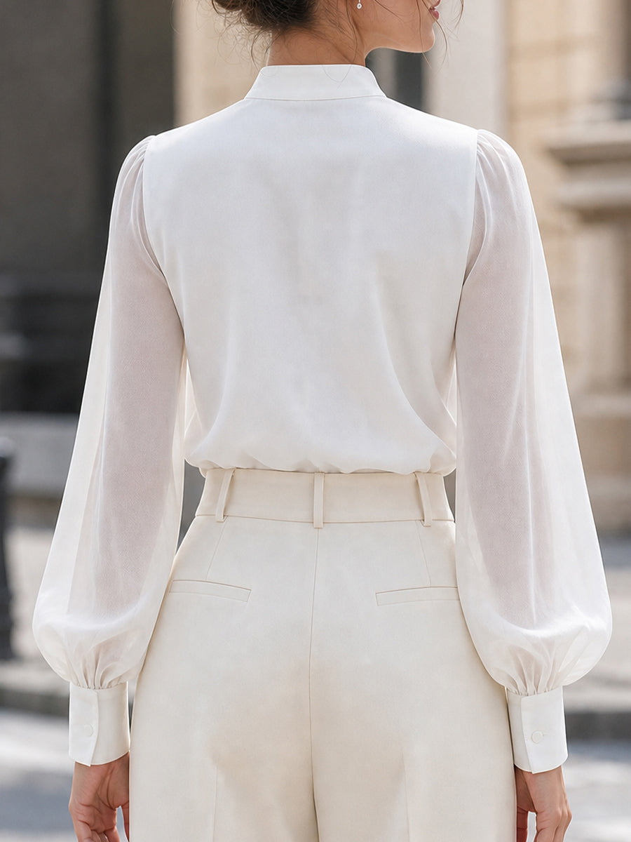 Stand Collar Split V Neck Sheer Lantern Long Sleeve  Blouse