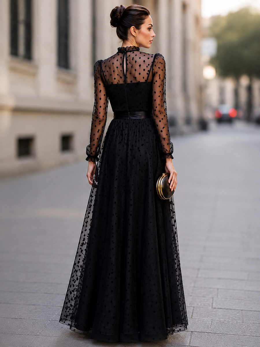 Elegant Polka Dot Mesh Long Sleeve Maxi Dress