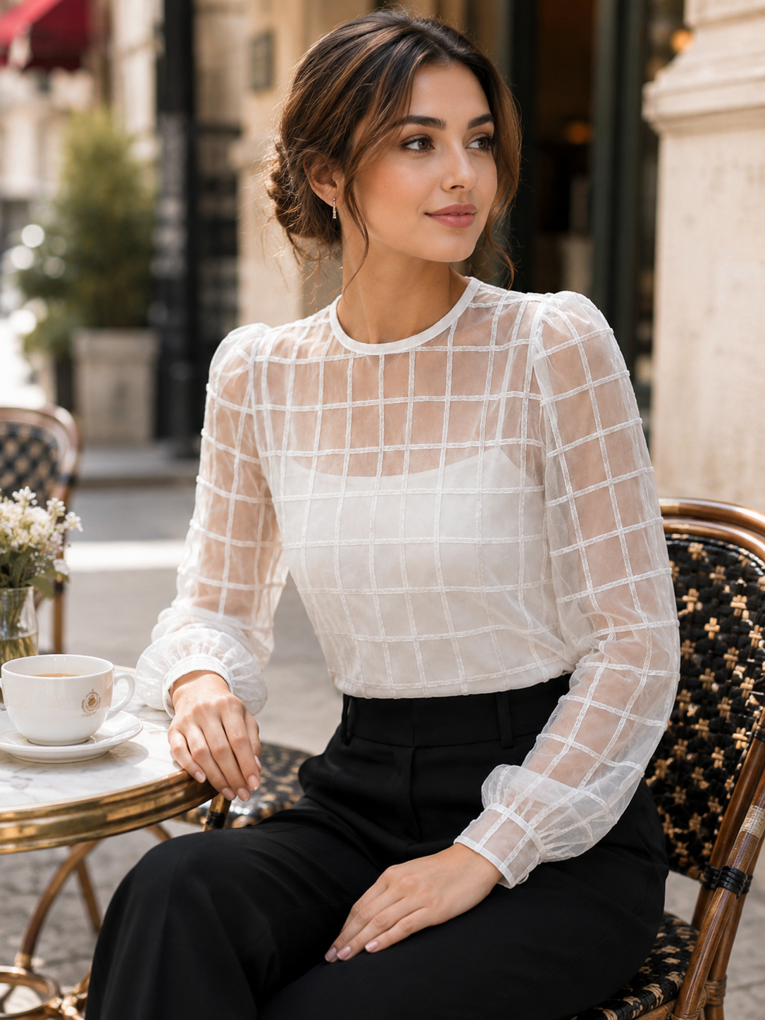 Elegant Sheer Grid Organza Long Sleeve Blouse