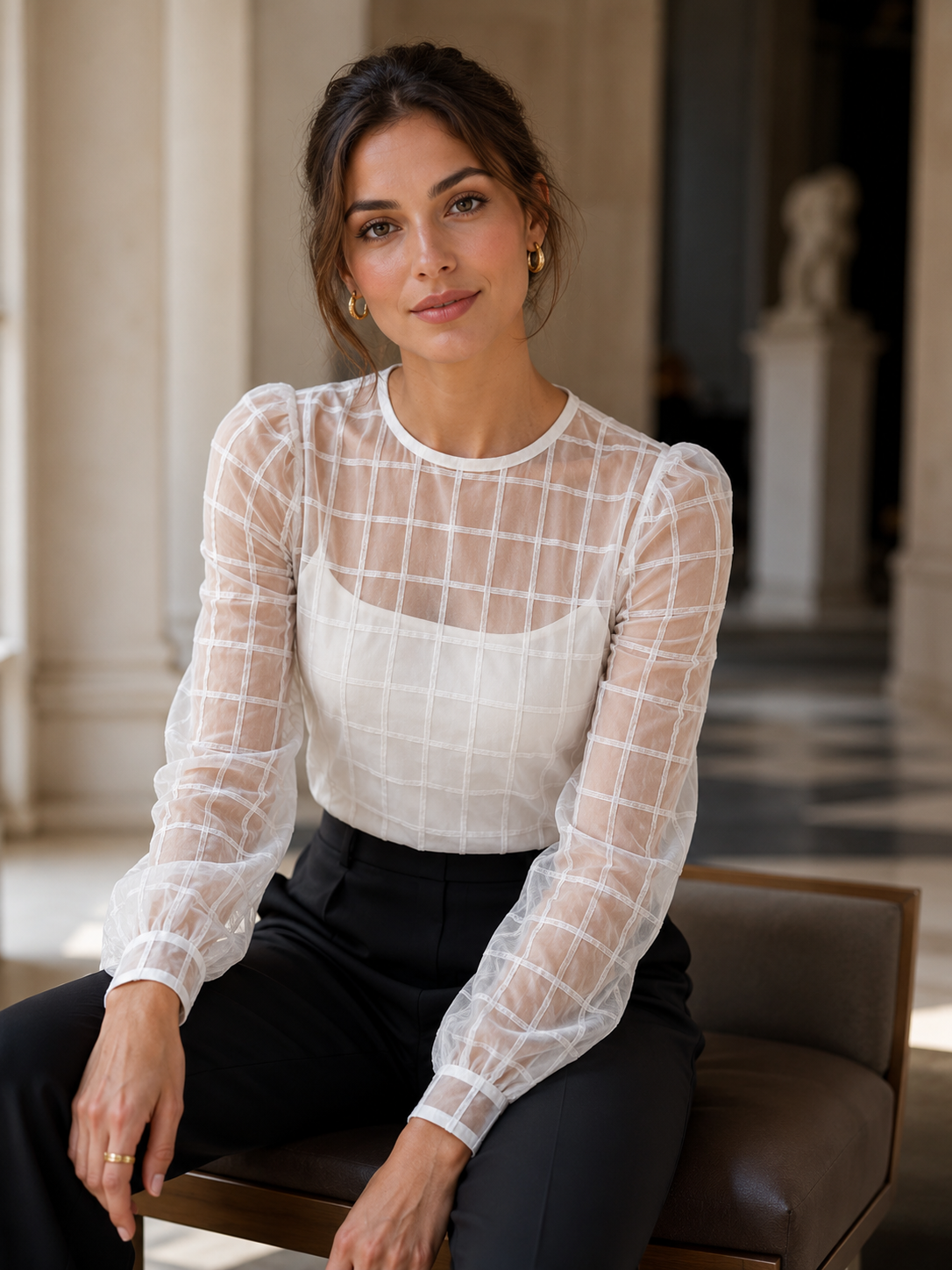 Elegant Sheer Grid Organza Long Sleeve Blouse